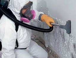 Best Dehumidification Services in Port Edwards, WI